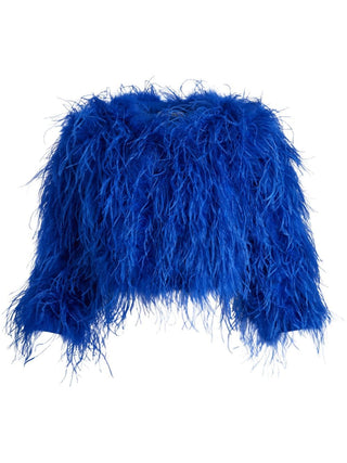 Feather Blue Royal Blue Coat Jacket - Feder Stoa Jacke Blau - Cielie Vienna Rental Gown