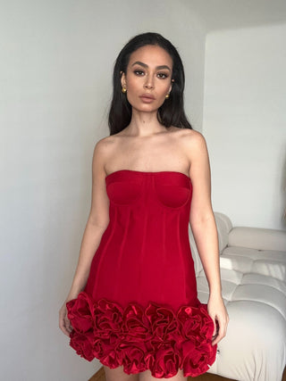 Model wearing Red mini corset dress roses skirt - Cielie Vienna