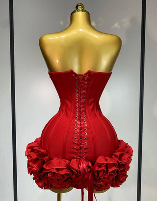 Mini Corset Dress Red Roses