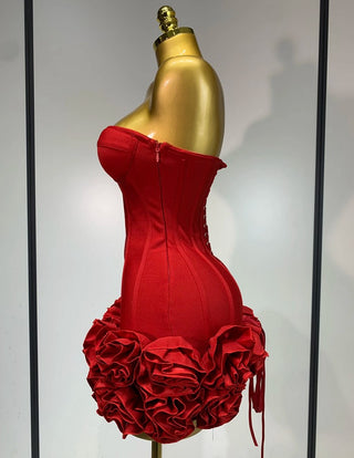 Red Roses Skirt Dress