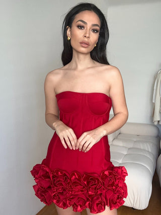Red Roses Dress Skirt Mini