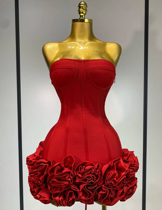 Red Rose Dress Mini Skirt