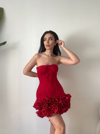 Red Mini Dress Roses Skirt