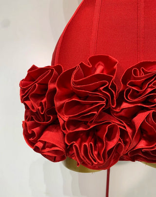 Red Rose Dress Mini Skirt