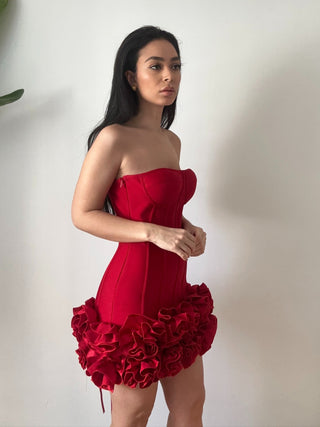 Mini Red Roses Skirt Dress