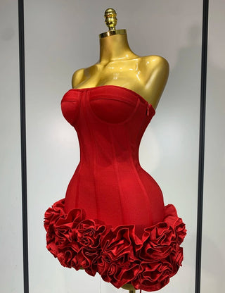 Red Rose Dress Mini Skirt