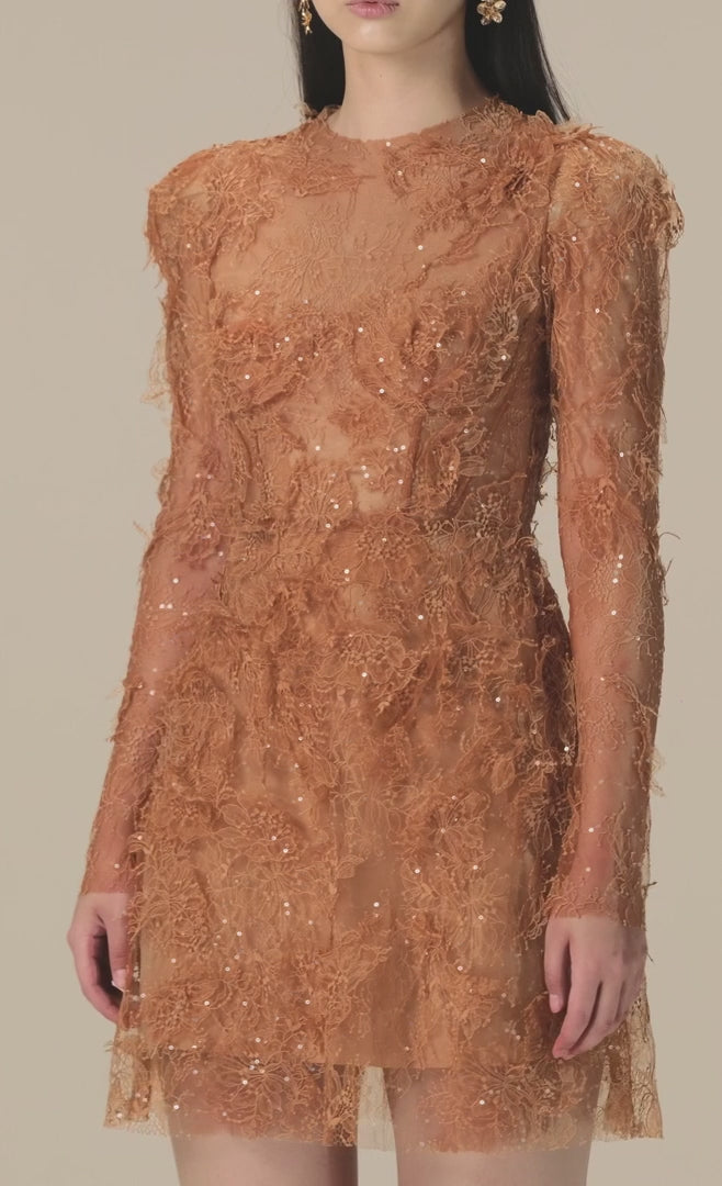 Women's Mini Dress Lace brown 
