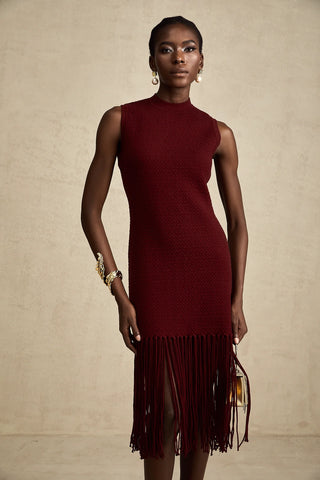 A stylish model wearing the Alione Red Fringe-Detail Knitted Midi Dress, featuring a sleeveless design, crew neck, and a fringed hemline. The winered dress has a flattering mid-calf length and a sleek rear zip fastening, paired with elegant silver heels and statement jewelry, set against a neutral background. Perfect for Christmas parties, winter events, and festive celebrations.