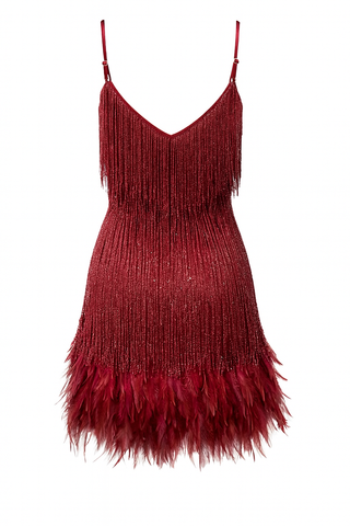 Red fringe dress with feathers party gatsby on a white background