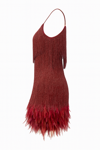 Red fringed dress on a white background