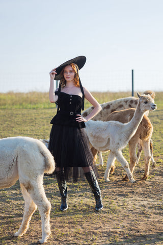 Two Piece Set Tulle Skirt Black Bustier Top Off Shoulder Mesh Black Elegant Two Piece Set Skirt - Dior Style Vintage Alpaca Farm Model Big Black Hat